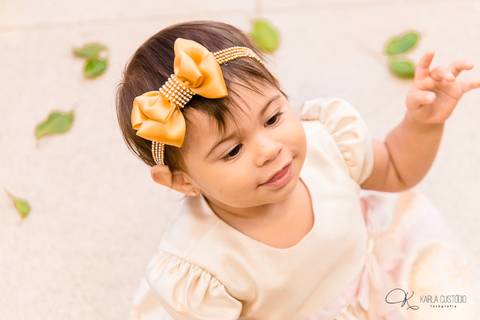 decoração, jardim, pássaros, 1 aninho, rosa, menina, luzes, tironi bambini, xic '