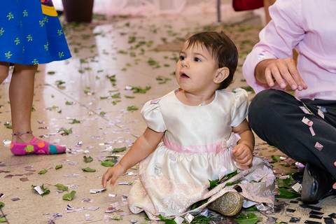 decoração, jardim, pássaros, 1 aninho, rosa, menina, luzes, tironi bambini, xic '