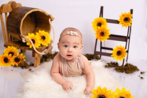 fotografia no girassol'