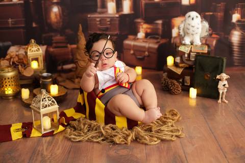 harry potter ensaio'