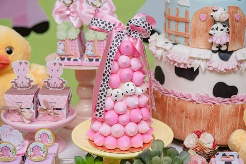 Smash the cake volta redonda barra mansa Fotografia Fotografo Festa Infantil 1 mamae papai ensaio aniversario  caramelda festa salao'