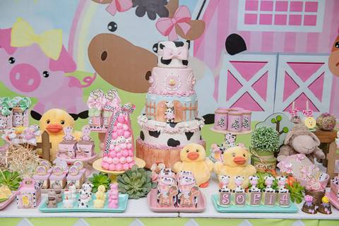 Smash the cake volta redonda barra mansa Fotografia Fotografo Festa Infantil 1 mamae papai ensaio aniversario  caramelda festa salao'