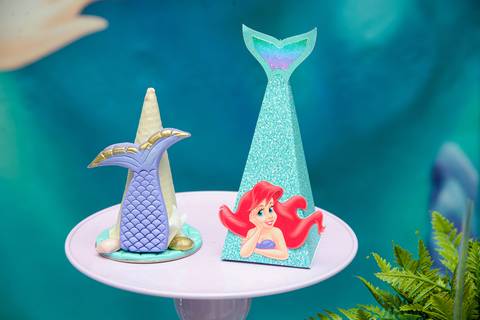 Smash the cake volta redonda barra mansa Fotografia Fotografo Festa Infantil 6 anos mamae papai ensaio aniversario  tictac festa salao'