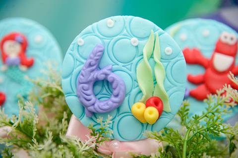 Smash the cake volta redonda barra mansa Fotografia Fotografo Festa Infantil 6 anos mamae papai ensaio aniversario  tictac festa salao'