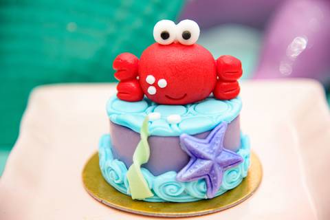 Smash the cake volta redonda barra mansa Fotografia Fotografo Festa Infantil 6 anos mamae papai ensaio aniversario  tictac festa salao'