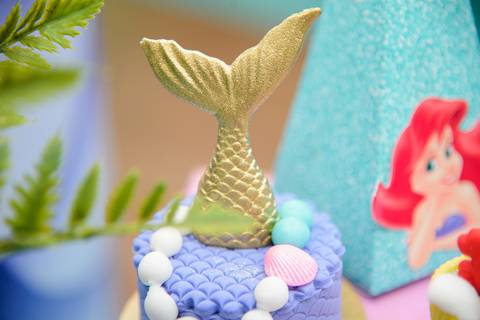 Smash the cake volta redonda barra mansa Fotografia Fotografo Festa Infantil 6 anos mamae papai ensaio aniversario  tictac festa salao'