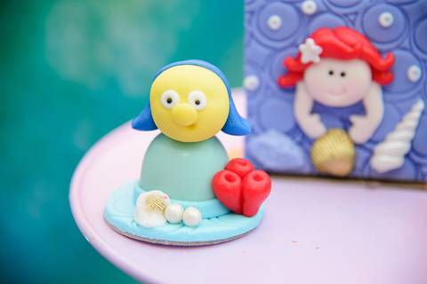 Smash the cake volta redonda barra mansa Fotografia Fotografo Festa Infantil 6 anos mamae papai ensaio aniversario  tictac festa salao'