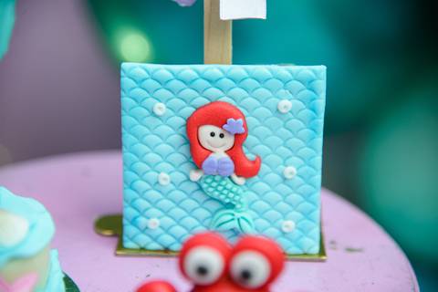 Smash the cake volta redonda barra mansa Fotografia Fotografo Festa Infantil 6 anos mamae papai ensaio aniversario  tictac festa salao'