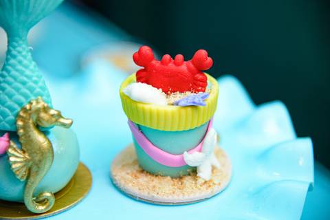 Smash the cake volta redonda barra mansa Fotografia Fotografo Festa Infantil 6 anos mamae papai ensaio aniversario  tictac festa salao'