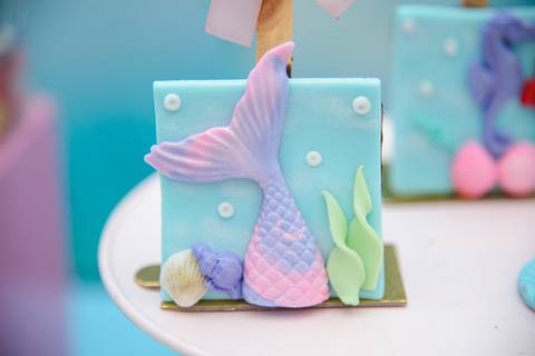 Smash the cake volta redonda barra mansa Fotografia Fotografo Festa Infantil 6 anos mamae papai ensaio aniversario  tictac festa salao'