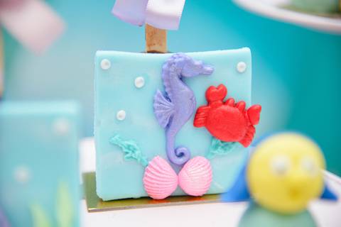 Smash the cake volta redonda barra mansa Fotografia Fotografo Festa Infantil 6 anos mamae papai ensaio aniversario  tictac festa salao'