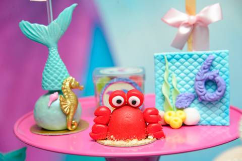 Smash the cake volta redonda barra mansa Fotografia Fotografo Festa Infantil 6 anos mamae papai ensaio aniversario  tictac festa salao'