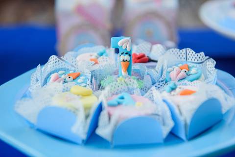 Smash the cake volta redonda barra mansa Fotografia Fotografo Festa Infantil 1 ano 1 aninho mamae papai ensaio aniversario  Espaço  Barra Mansa  RJ festa salao familia filhos maesefilhos maternidade'