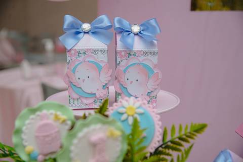 Smash the cake volta redonda barra mansa Fotografia Fotografo Festa Infantil 1 ano 1 aninho mamae papai ensaio aniversario  tictac festa salao'