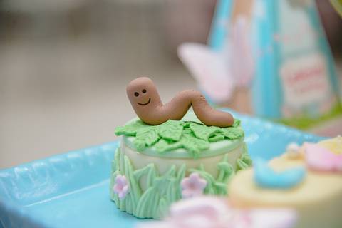 Smash the cake volta redonda barra mansa Fotografia Fotografo Festa Infantil 1 ano 1 aninho mamae papai ensaio aniversario  tictac festa salao'