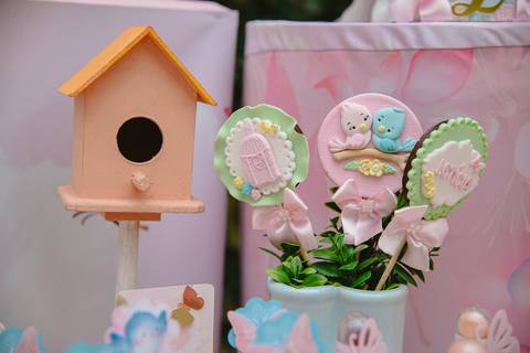 Smash the cake volta redonda barra mansa Fotografia Fotografo Festa Infantil 1 ano 1 aninho mamae papai ensaio aniversario  tictac festa salao'