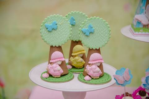 Smash the cake volta redonda barra mansa Fotografia Fotografo Festa Infantil 1 ano 1 aninho mamae papai ensaio aniversario  tictac festa salao'