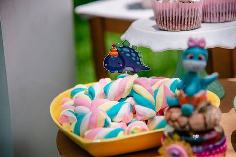 Smash the cake volta redonda barra mansa Fotografia Fotografo Festa Infantil 1 ano 1 aninho mamae papai ensaio aniversario  festa sitio fazenda'