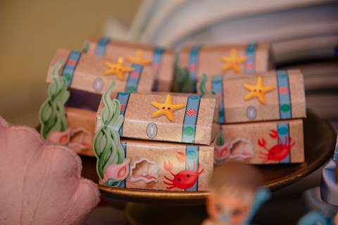 Smash the cake volta redonda barra mansa Fotografia Fotografo Festa Infantil 1 ano 1 aninho mamae papai ensaio aniversario  sitio fazenda festa salao'