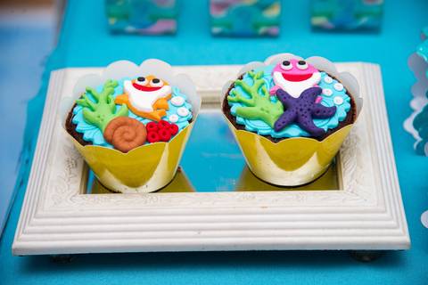 Smash the cake volta redonda barra mansa Fotografia Fotografo Festa Infantil 1 ano 1 aninho mamae papai ensaio aniversario  tictac festa salao'