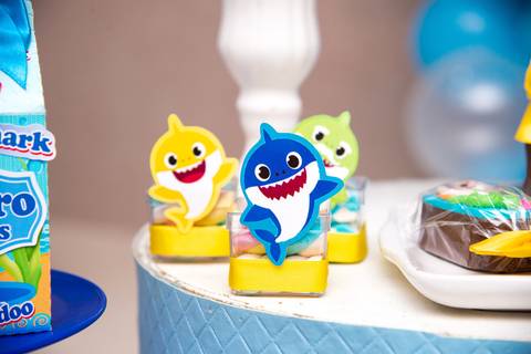 Smash the cake volta redonda barra mansa Fotografia Fotografo Festa Infantil 1 ano 1 aninho mamae papai ensaio aniversario  tictac festa salao'