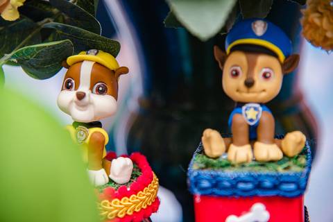 Smash the cake volta redonda barra mansa Fotografia Fotografo Festa Infantil 1 ano 1 aninho mamae papai ensaio aniversario  tictac festa salao'