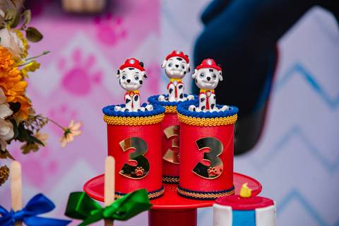 Smash the cake volta redonda barra mansa Fotografia Fotografo Festa Infantil 1 ano 1 aninho mamae papai ensaio aniversario  tictac festa salao'