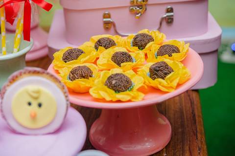 Smash the cake volta redonda barra mansa Fotografia Fotografo Festa Infantil 1 ano 1 aninho mamae papai ensaio aniversario  conforto festas festa salao'