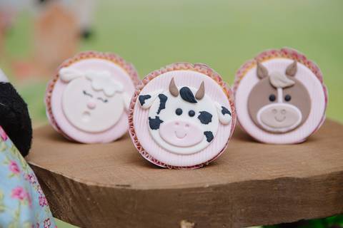 Smash the cake volta redonda barra mansa Fotografia Fotografo Festa Infantil 1 ano 1 aninho mamae papai ensaio aniversario  conforto festas festa salao'