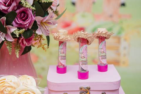 Smash the cake volta redonda barra mansa Fotografia Fotografo Festa Infantil 1 ano 1 aninho mamae papai ensaio aniversario  conforto festas festa salao'