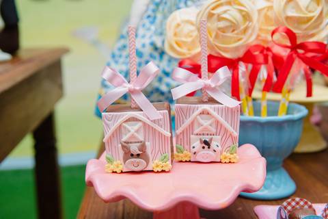 Smash the cake volta redonda barra mansa Fotografia Fotografo Festa Infantil 1 ano 1 aninho mamae papai ensaio aniversario  conforto festas festa salao'