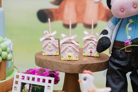 Smash the cake volta redonda barra mansa Fotografia Fotografo Festa Infantil 1 ano 1 aninho mamae papai ensaio aniversario  conforto festas festa salao'