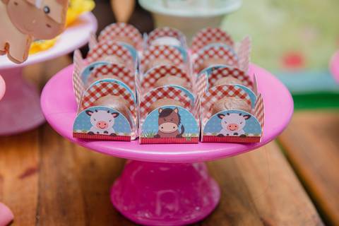 Smash the cake volta redonda barra mansa Fotografia Fotografo Festa Infantil 1 ano 1 aninho mamae papai ensaio aniversario  conforto festas festa salao'