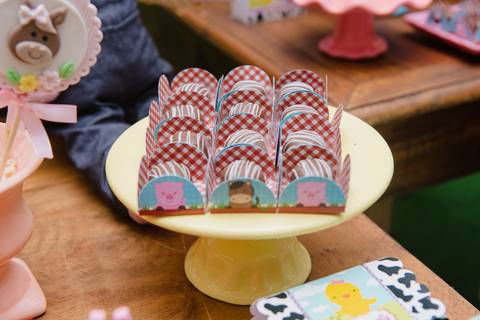 Smash the cake volta redonda barra mansa Fotografia Fotografo Festa Infantil 1 ano 1 aninho mamae papai ensaio aniversario  conforto festas festa salao'