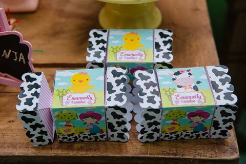 Smash the cake volta redonda barra mansa Fotografia Fotografo Festa Infantil 1 ano 1 aninho mamae papai ensaio aniversario  conforto festas festa salao'