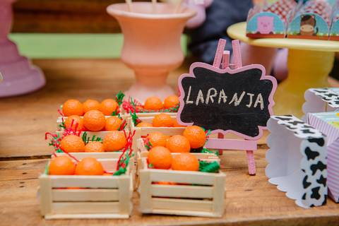 Smash the cake volta redonda barra mansa Fotografia Fotografo Festa Infantil 1 ano 1 aninho mamae papai ensaio aniversario  conforto festas festa salao'