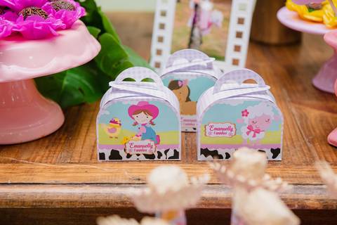 Smash the cake volta redonda barra mansa Fotografia Fotografo Festa Infantil 1 ano 1 aninho mamae papai ensaio aniversario  conforto festas festa salao'