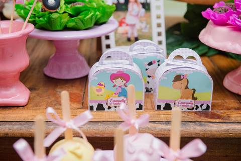 Smash the cake volta redonda barra mansa Fotografia Fotografo Festa Infantil 1 ano 1 aninho mamae papai ensaio aniversario  conforto festas festa salao'