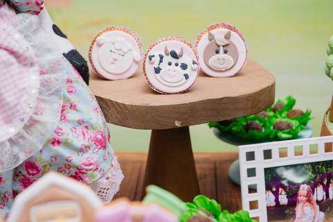 Smash the cake volta redonda barra mansa Fotografia Fotografo Festa Infantil 1 ano 1 aninho mamae papai ensaio aniversario  conforto festas festa salao'