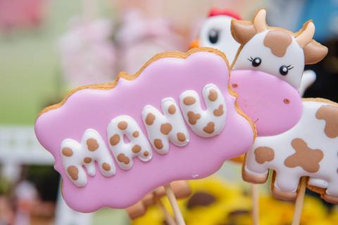 Smash the cake volta redonda barra mansa Fotografia Fotografo Festa Infantil 1 ano 1 aninho mamae papai ensaio aniversario  conforto festas festa salao'