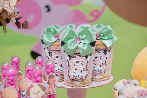 Smash the cake volta redonda barra mansa Fotografia Fotografo Festa Infantil 1 ano 1 aninho mamae papai ensaio aniversario  caramelada festa salao'