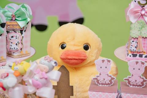 Smash the cake volta redonda barra mansa Fotografia Fotografo Festa Infantil 1 ano 1 aninho mamae papai ensaio aniversario  caramelada festa salao'