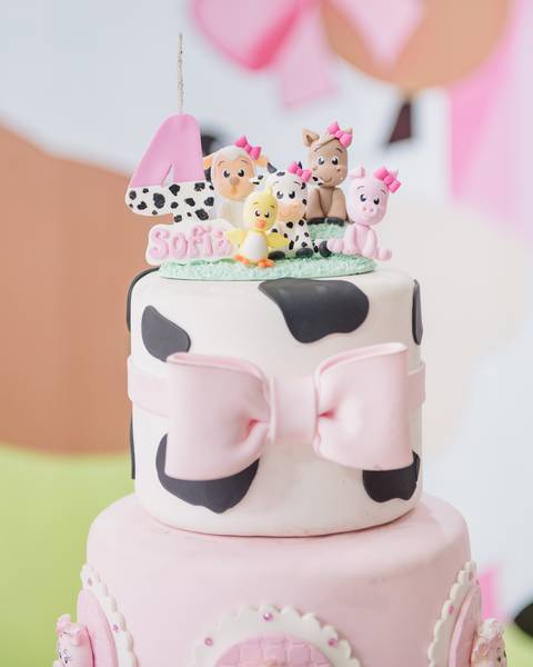 Smash the cake volta redonda barra mansa Fotografia Fotografo Festa Infantil 1 ano 1 aninho mamae papai ensaio aniversario  caramelada festa salao'