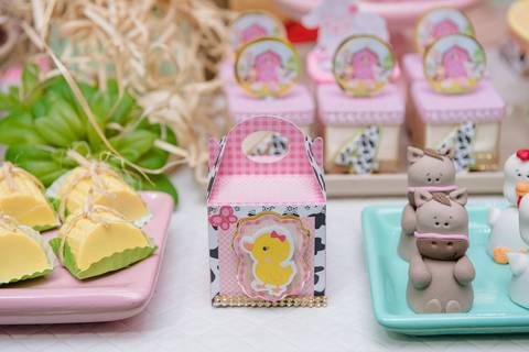 Smash the cake volta redonda barra mansa Fotografia Fotografo Festa Infantil 1 ano 1 aninho mamae papai ensaio aniversario  caramelada festa salao'