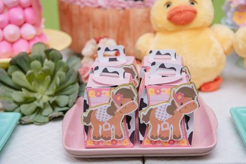 Smash the cake volta redonda barra mansa Fotografia Fotografo Festa Infantil 1 ano 1 aninho mamae papai ensaio aniversario  caramelada festa salao'