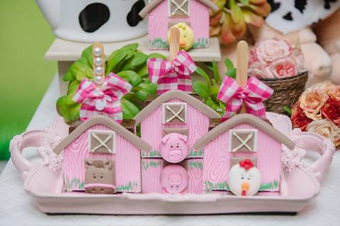 Smash the cake volta redonda barra mansa Fotografia Fotografo Festa Infantil 1 ano 1 aninho mamae papai ensaio aniversario  caramelada festa salao'