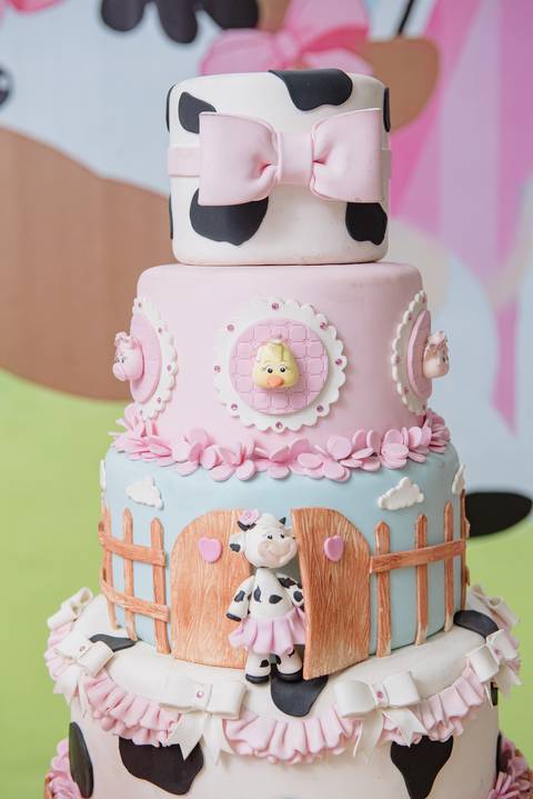 Smash the cake volta redonda barra mansa Fotografia Fotografo Festa Infantil 1 ano 1 aninho mamae papai ensaio aniversario  caramelada festa salao'