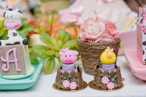 Smash the cake volta redonda barra mansa Fotografia Fotografo Festa Infantil 1 ano 1 aninho mamae papai ensaio aniversario  caramelada festa salao'