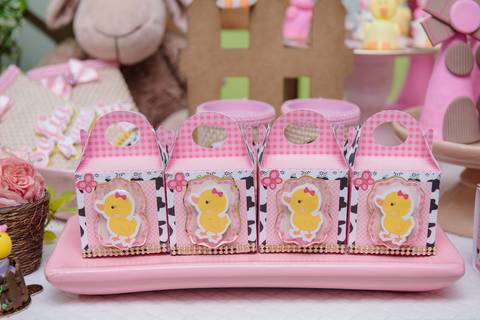 Smash the cake volta redonda barra mansa Fotografia Fotografo Festa Infantil 1 ano 1 aninho mamae papai ensaio aniversario  caramelada festa salao'