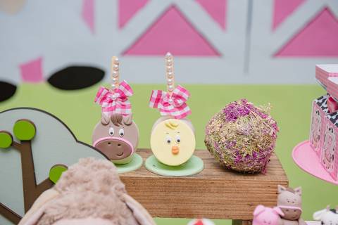 Smash the cake volta redonda barra mansa Fotografia Fotografo Festa Infantil 1 ano 1 aninho mamae papai ensaio aniversario  caramelada festa salao'